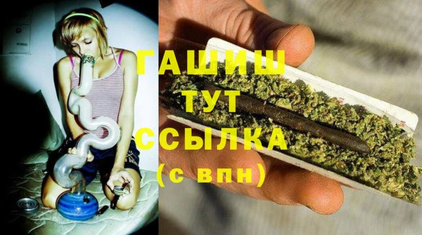 винт Абаза