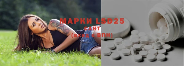 винт Абаза