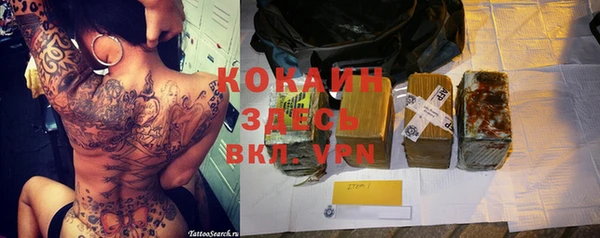 винт Абаза