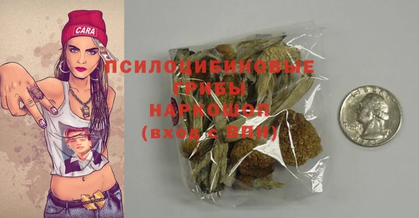 шишки Алексин