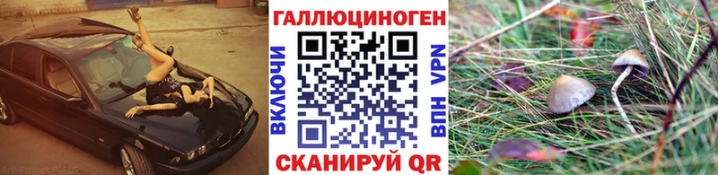 купить  сайты  маркетплейс какой сайт  Псилоцибиновые грибы Cubensis  Болохово 